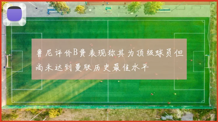 鲁尼评价B费表现称其为顶级球员但尚未达到曼联历史最佳水平